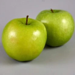 Granny Smith Apple Tree -Plant Specialty Store FRU0227 3