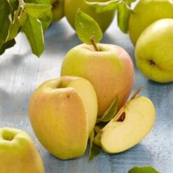 Golden Delicious Apple Tree -Plant Specialty Store FRU0229 2
