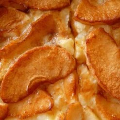 Bramley's Seedling Cordon Apple Tree -Plant Specialty Store FRU0258 4 42cffabe a4d3 4601 9d07 886e881b0539