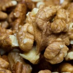 'Buccaneer' Walnut Tree -Plant Specialty Store FRU0413 3