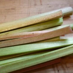 'Victoria' Rhubarb Plant -Plant Specialty Store VEG0187 3