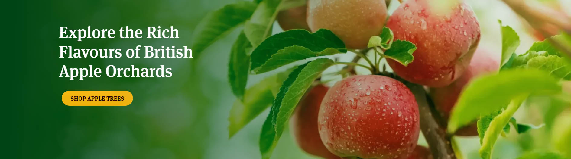 Plant Specialty Store -Plant Specialty Store sdfsf